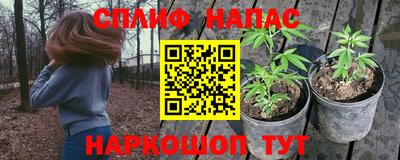 СК Нальчик