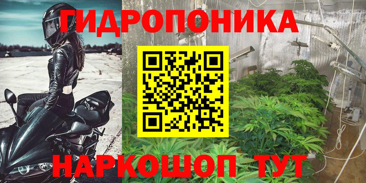 Конопля Ganja Россия